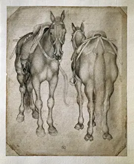 PISANELLO, Antonio di Puccio Pisano, called (1395-1455). Study of Two Horses. beg. 15th c. Skecht. Renaissance art. Quattrocento. Drawing. FRANCE. Paris. Louvre Museum