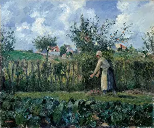 Idyllic Prints: Pissarro Camille, The Cutting of the Hedge