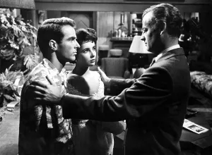 Images Dated 17th June 2005: A PLACE IN THE SUN, Montgomery Clift, Elizabeth Taylor, Shepperd Strudwick, 1951