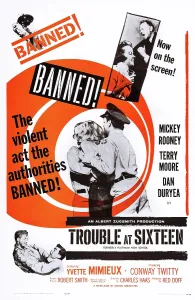 Terry Prints: PLATINUM HIGH SCHOOL, (aka TROUBLE AT SIXTEEN)