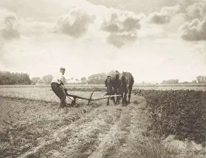 Grain Prints: Plowman, by J.G. Beers and Laurens Hansma