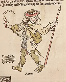 Astronomical Prints: Poeticon Astronomicum. The constellation of BoOtes