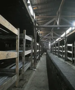Concentration Camp Prints: POLAND. Oswiecim. Auschwitz-Birkenau Memorial and Museum