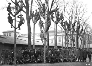 Recruitment Prints: Pole-Climbing training for Students Army Training Corps at the University of Michigan
