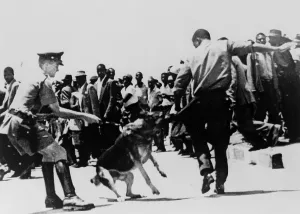 Protests Prints: Police dog attacking a Black Zimbabwean man during a demonstration in 1965