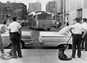 Buses Prints: Policemen watch as Freedom Riders arrive in Jackson