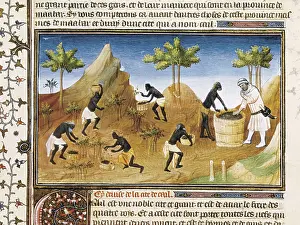 Description Of The World Prints: Polo, Marco (1254-1324). 'Book of World Wonders'