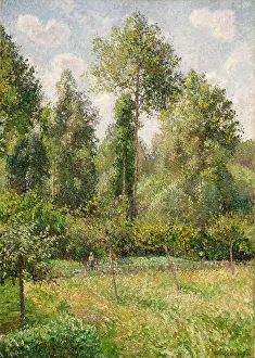 Garden Prints: Poplars, Eragny, by Camille Pissarro, 1895, French impressionist painting, oil on canvas