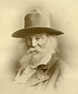 Open Collar Prints: Portrait of American poet, Walt Whitman