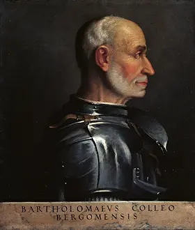 Hair Prints: Portrait of Bartolomeo Colleoni