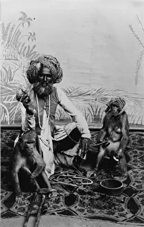 Backdrop Prints: Portrait of an Indian Fakir with monkeys, India, photograph, circa 1900s-1920s