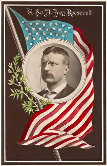 Lcgr1704 Prints: Portrait of President Theodore Roosevelt surrounded by the U
