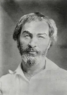 Open Collar Prints: Portrait of Walt Whitman, American poet