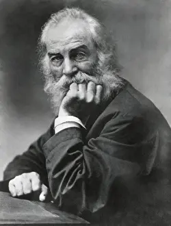 Whitman Prints: Portrait of Walt Whitman, American poet