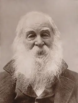 Whitman Prints: Portrait of Walt Whitman, American poet, 1888 (BSLOC_2018_4_48)