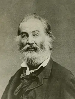 Open Collar Prints: Portrait of Walt Whitman, American poet, c. 1860s (BSLOC_2018_4_45)
