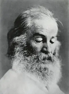 Whitman Prints: Portrait of Walt Whitman, American poet, c. 1860s (BSLOC_2018_4_44)