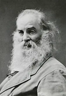 Whitman Prints: Portrait of Walt Whitman, American poet, c. 1870 (BSLOC_2018_4_47)