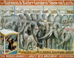 Elephants Prints: Poster for Barnum and Bailey circus showing performing elephants and animals in cages