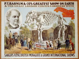 Barnum Prints: Poster for P.T. Barnum & Circus featuring the skeleton of Jumbo the Elephant