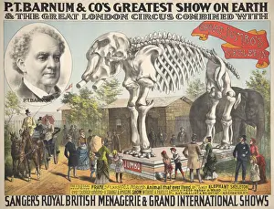 Cameo Prints: Poster for P.T. Barnum & Co.s, GREATEST SHOW ON EARTH