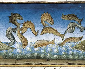 Quattrocento Prints: DE PREDIS, Cristoforo (1440-1486)