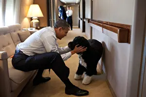 Airplane Prints: President Barack Obama plays with Bo