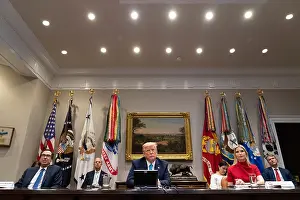 Daughter Prints: President Donald Trump is flanked by Treasury Secretary