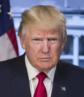 Backdrop Prints: President-elect Donald Trump in a portrait released by the White House on Jan