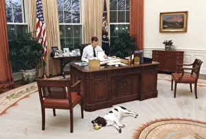 Middle Aged Prints: President George H.W. Bush, at Resolute Desk in Oval Office with the family English Springer Spaniel