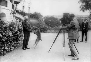 Newsmen Prints: President Harding being photographed with his pet dog