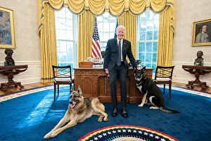 Elderly Adult Prints: President Joe Biden with the Biden family dogs