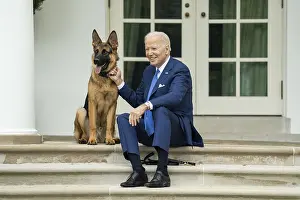 Steps Prints: President Joe Biden with his dog