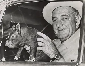 Texas Prints: President Lyndon Johnson holds a squirming baby pig for photographers at the LBJ Ranch