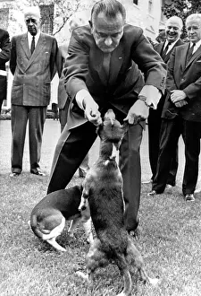 Playing Prints: President Lyndon Johnson pulling the ears of the White House beagles