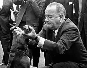Teasing Prints: President Lyndon Johnson pulls the ears of one of his pet beagles