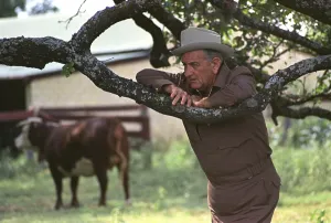 Casual Prints: President Lyndon Johnson at the his Texas ranch near Stonewall, Texas. July 1, 1968