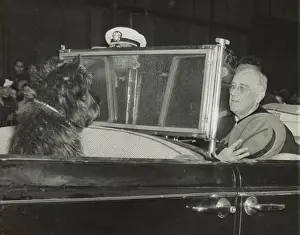 Salute Prints: President Roosevelt's dog, Fala