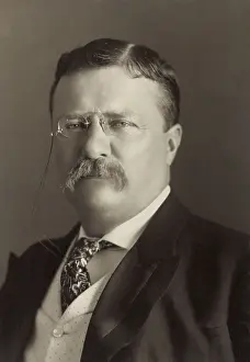 White Collar Prints: President Theodore Roosevelt, 1904 portrait by Pach Brothers of New York (BSLOC_2017_6_46)