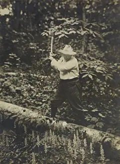 Lcgr1704 Prints: President Theodore Roosevelt chopping, a fallen tree with an axe, summer 1905