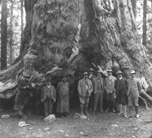 1900 1910 Prints: President Theodore Roosevelt and his party