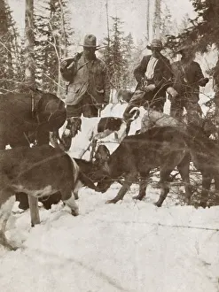 Casual Prints: President Theodore Roosevelt standing over a big killed bear