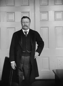 Images Dated 29th November 2007: President Theodore Roosevelt, standing portrait, 3/4 figure, ca. 1905