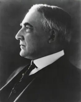 Lcgr15112 Prints: Profile Portrait of President Warren Harding, ca. 1921-23. (BSLOC_2015_15_7)