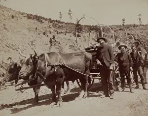 Migration Prints: Five prospectors setting out to the South Dakota gold fields with a wagon pulled by oxen