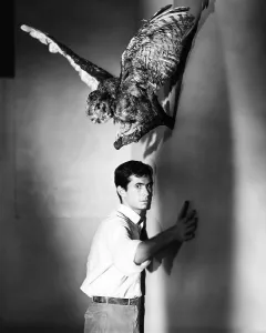 Taxidermy Prints: PSYCHO, Anthony Perkins, 1960