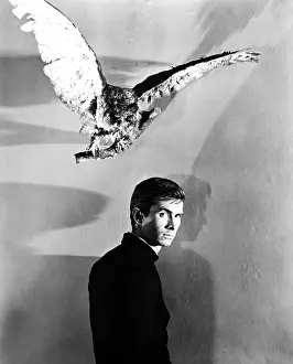 Taxidermy Prints: PSYCHO, Anthony Perkins, 1960