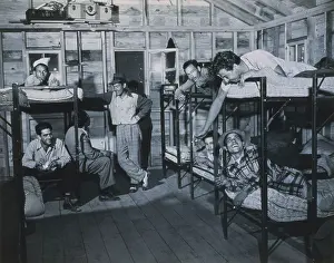 Beds Prints: Puerto Rican migrant workers in barracks on a fruit farm in Dutchess County