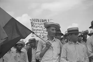 Latinos Prints: Puerto Rican strikers picketing near the sugar mill where they worked