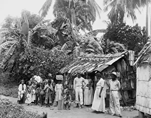 Palm Trees Prints: Puerto Ricans in front of a primitive dwelling shortly after Puerto Rico was annexed by the United States after